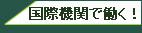 国際機関で働く